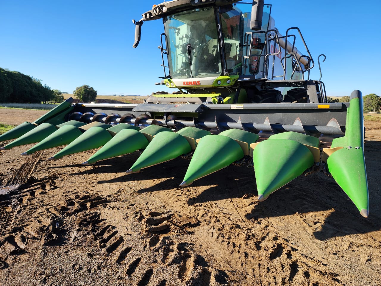 2014 Capello 836 8 row 0,91cm Maize Header